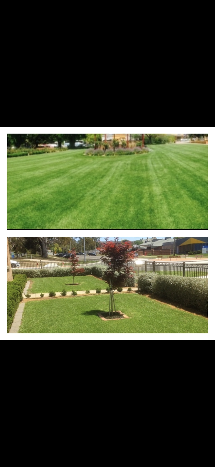 Gardens by AJD | 21 Dalley St, Goulburn NSW 2580, Australia | Phone: 0413 938 550