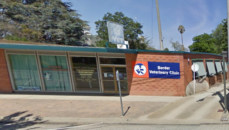 Border Veterinary Clinic | 3 King George St, Cohuna VIC 3568, Australia | Phone: (03) 5456 2709