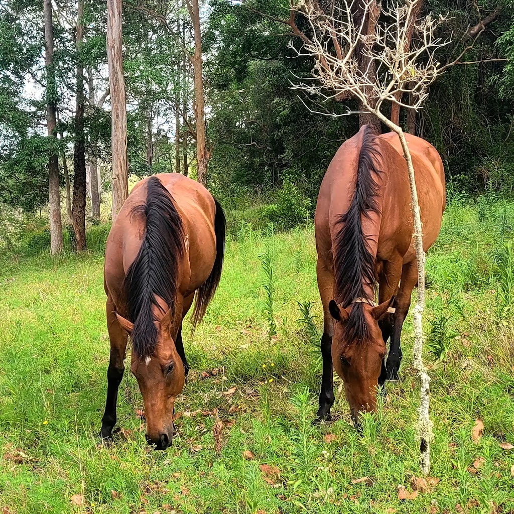 Okey Dokey Farm | Visit by appointment only. Please message to arrange, 144 Flood Reserve Rd, Ruthven NSW 2480, Australia | Phone: 0418 770 508