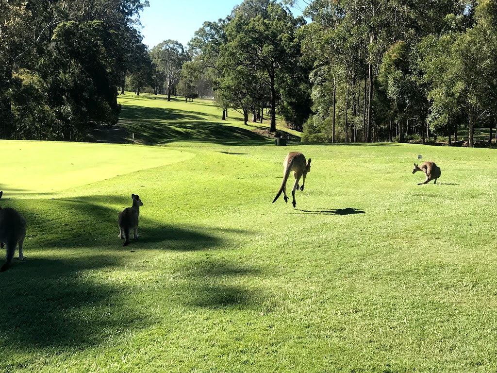 Kempsey Golf Club and Driving Range | 330 Macleay Valley Way, South Kempsey NSW 2440, Australia | Phone: (02) 6562 6291