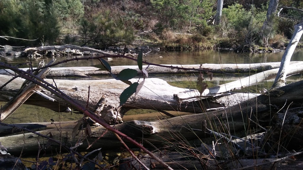 Brindabella National Park | park | Mountain Creek Rd, Uriarra NSW 2611, Australia | 1300072757 OR +61 1300 072 757
