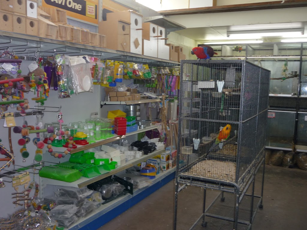 Nunawading Birds & Pets | pet store | 101 Springvale Rd, Nunawading VIC 3131, Australia | 0398743394 OR +61 3 9874 3394