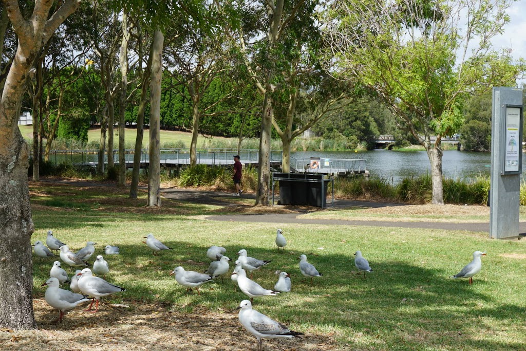 Bicentennial Park | park | Australia Ave, Sydney Olympic Park NSW 2127, Australia | 0297147888 OR +61 2 9714 7888