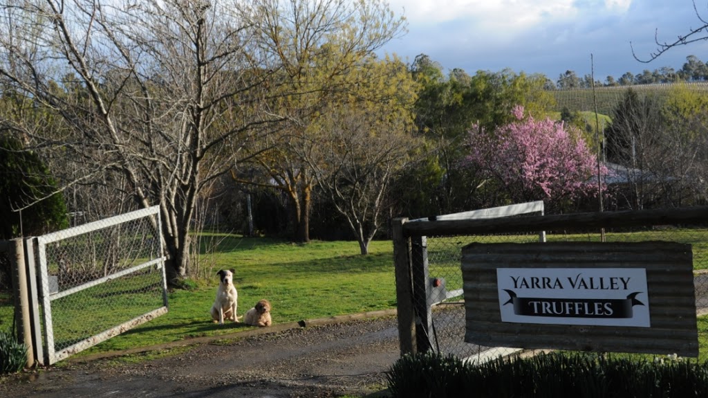 Yarra Valley Truffles | 70 Owens Rd, Woori Yallock VIC 3139, Australia | Phone: 0432 878 396