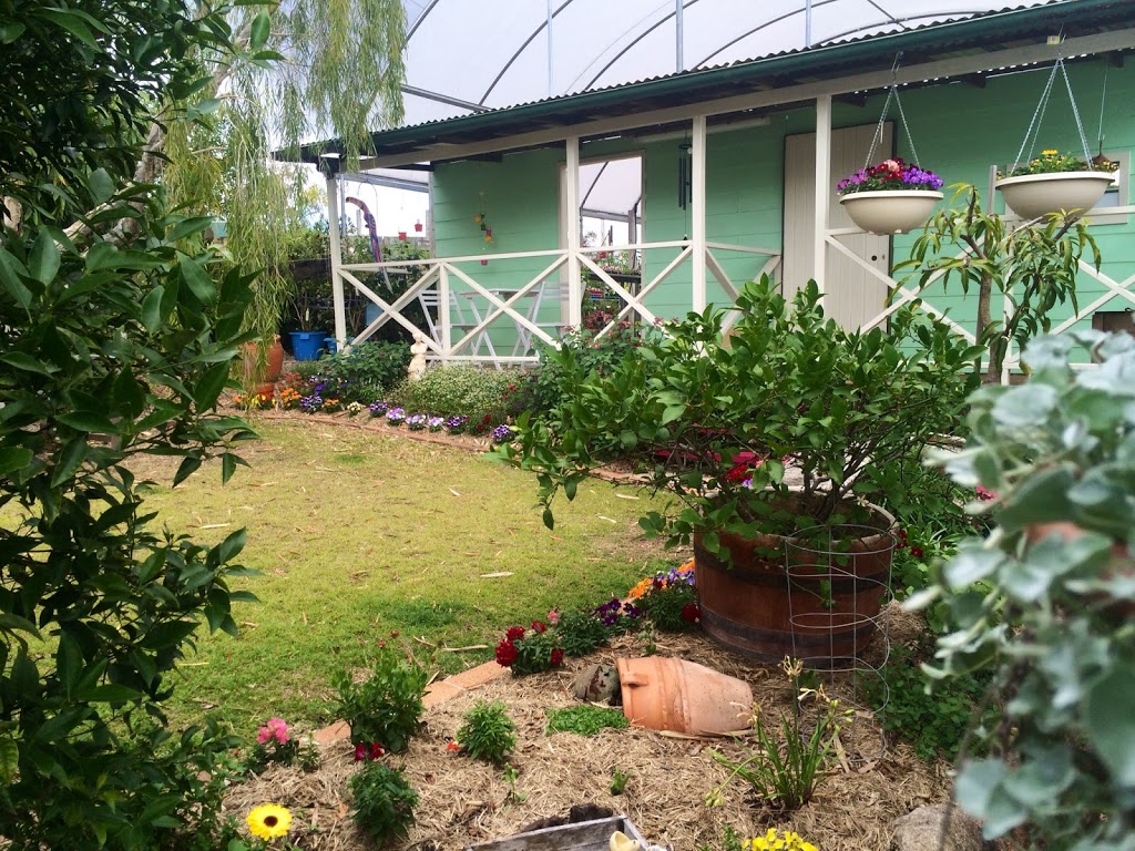 Theos Garden Centre | store | 187 Old Gympie Rd, Kallangur QLD 4503, Australia | 0732045490 OR +61 7 3204 5490