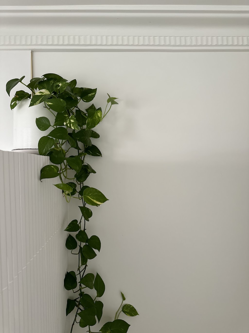 Chippy & Sons Building | 88 Clemenceau Cres, Tanilba Bay NSW 2319, Australia | Phone: 0478 033 505