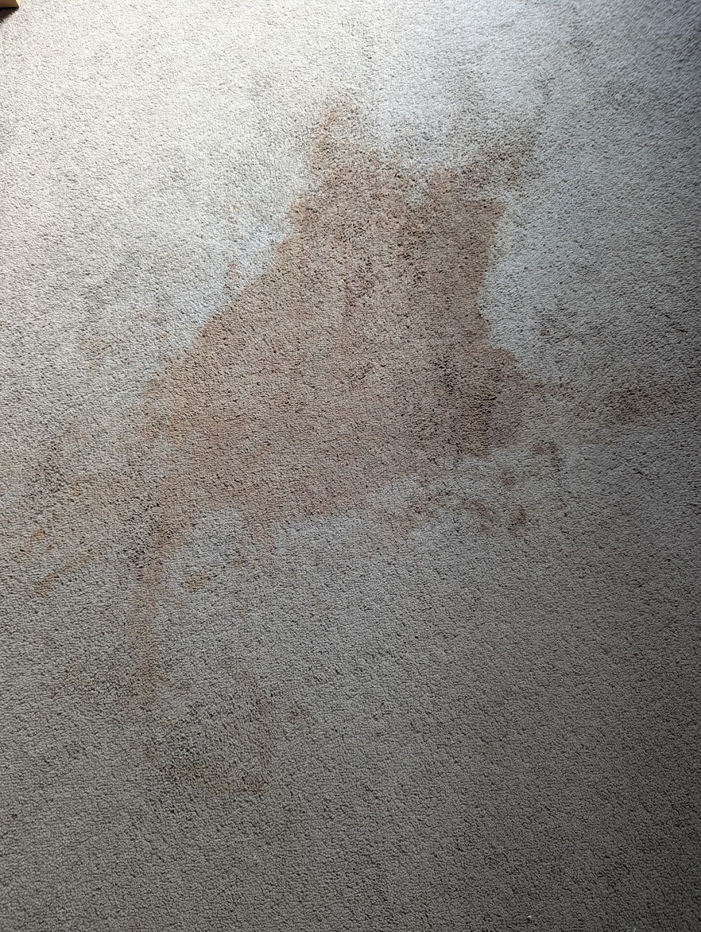 Yarra Valley Carpet Cleaning | 5 Davison Dr, Coldstream VIC 3770, Australia | Phone: 0490 697 311