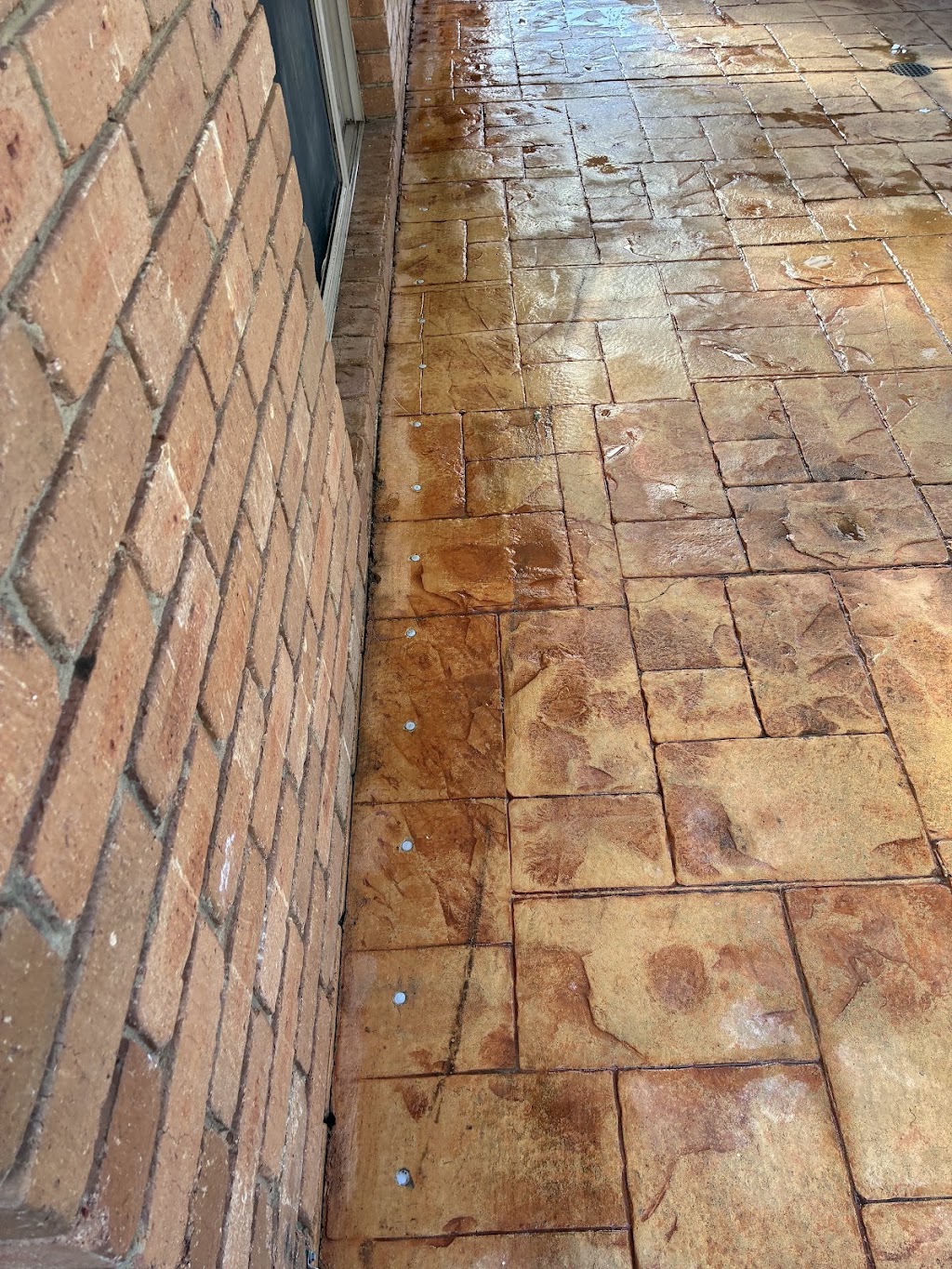 Amazon Pest Exterminators | 55 Manning Blvd, Darley VIC 3340, Australia | Phone: (03) 9436 0883