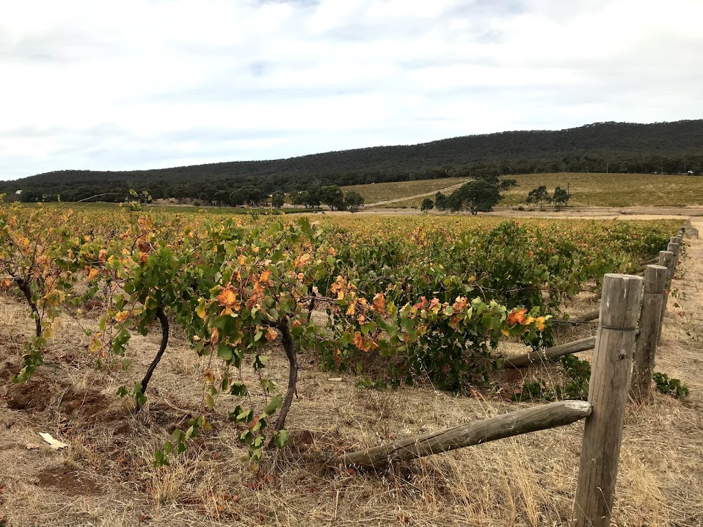 The Bridge Vineyard | Heathcote VIC 3523, Australia | Phone: 0417 391 622