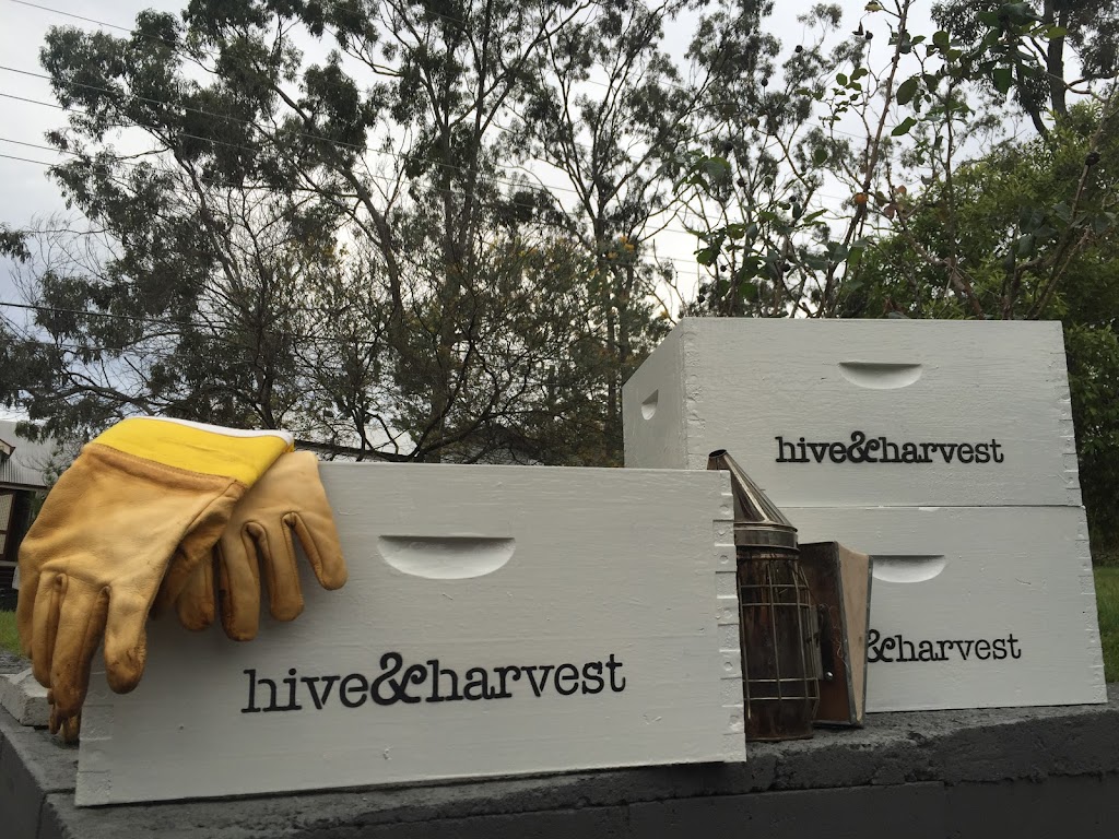 Hive & Harvest | 269 Hovard Rd, Bald Knob QLD 4552, Australia | Phone: 0412 561 508