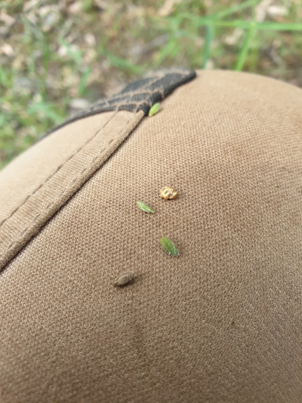 Flat Diggings Reserve Fossicking General Permission Area | Laglan Rd, Clermont QLD 4721, Australia | Phone: 1300 472 227