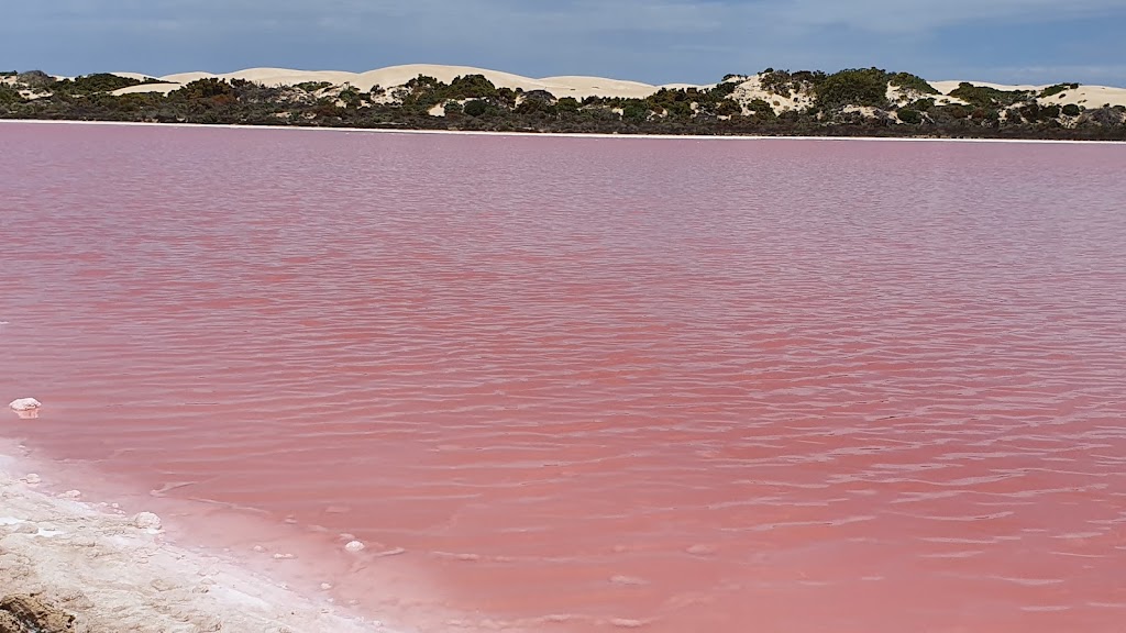 Penong Caravan Park | 4 Stiggants rd, Penong SA 5690, Australia | Phone: (08) 8625 1111