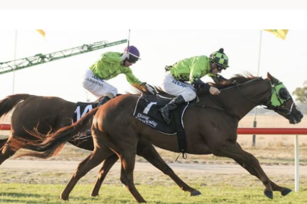 Erin Maher Racing | 32 Racecourse Rd, Ascot VIC 3551, Australia | Phone: 0438 800 975