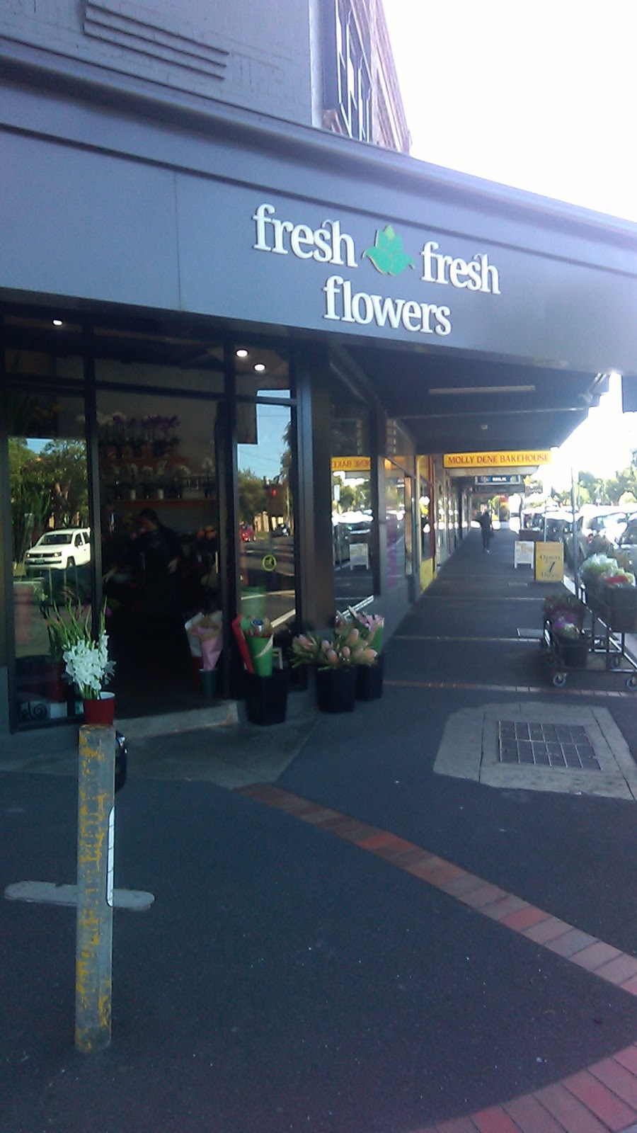 Fresh Fresh Flowers | florist | 165 Centre Rd, Bentleigh VIC 3204, Australia | 0395579305 OR +61 3 9557 9305