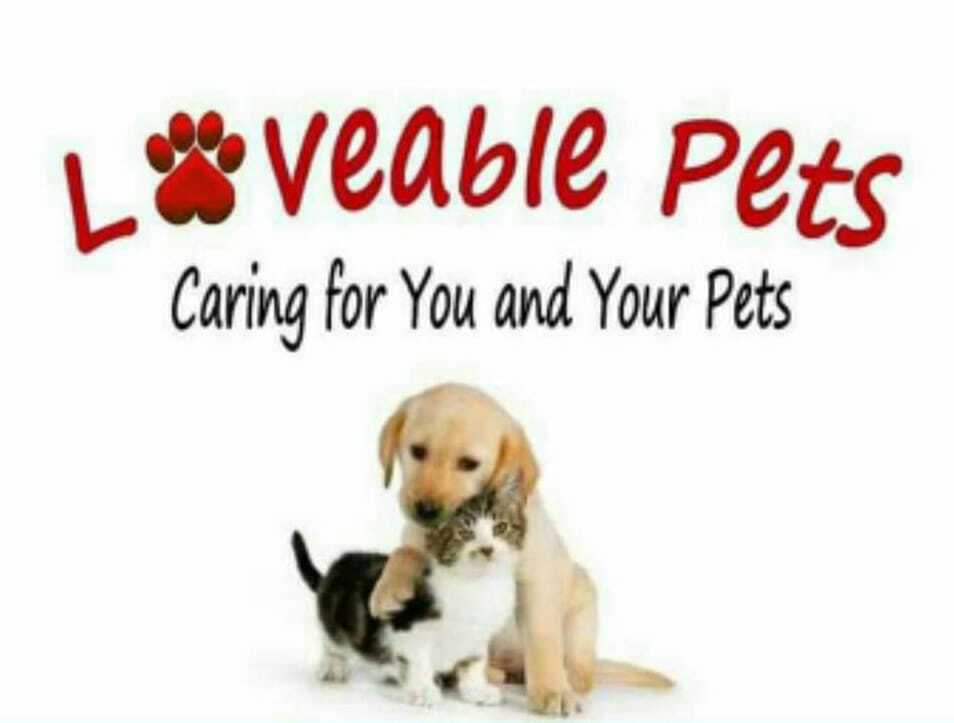 Loveable Pets Shop | pet store | 69 High St, Russell Island QLD 4184, Australia | 0466305899 OR +61 466 305 899
