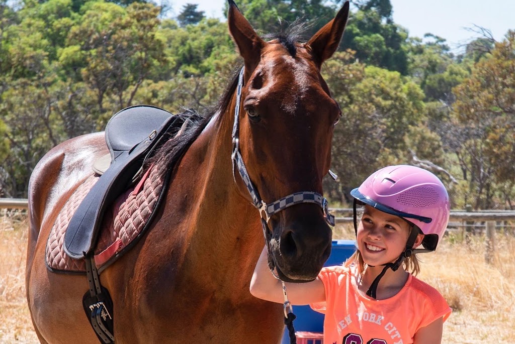 Happy Hooves Wanneroo | 643 Gnangara Rd, Lexia WA 6079, Australia | Phone: 0424 349 214