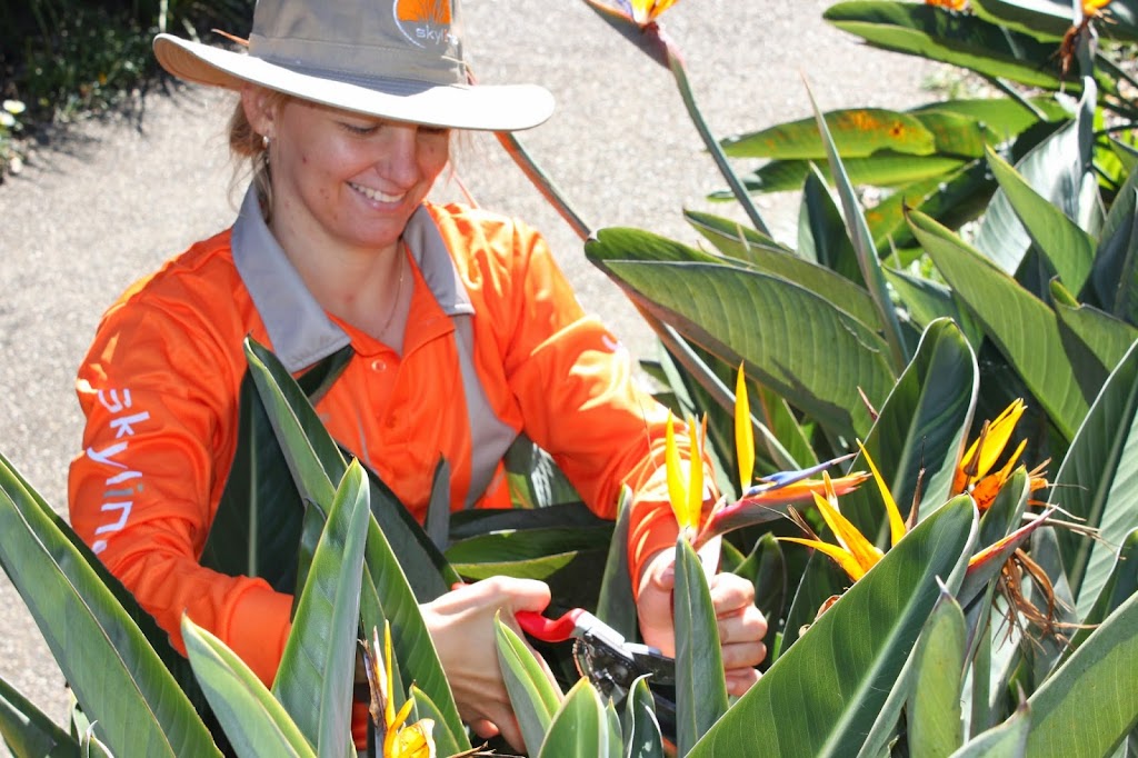 Skyline Landscape Services | 43 Notar Dr, Ormeau QLD 4208, Australia | Phone: 1300 669 949