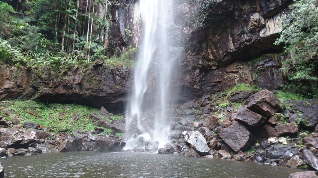 Protesters Falls | Nightcap National Park, Protester Falls Track, Nightcap NSW 2480, Australia | Phone: (02) 6627 0200