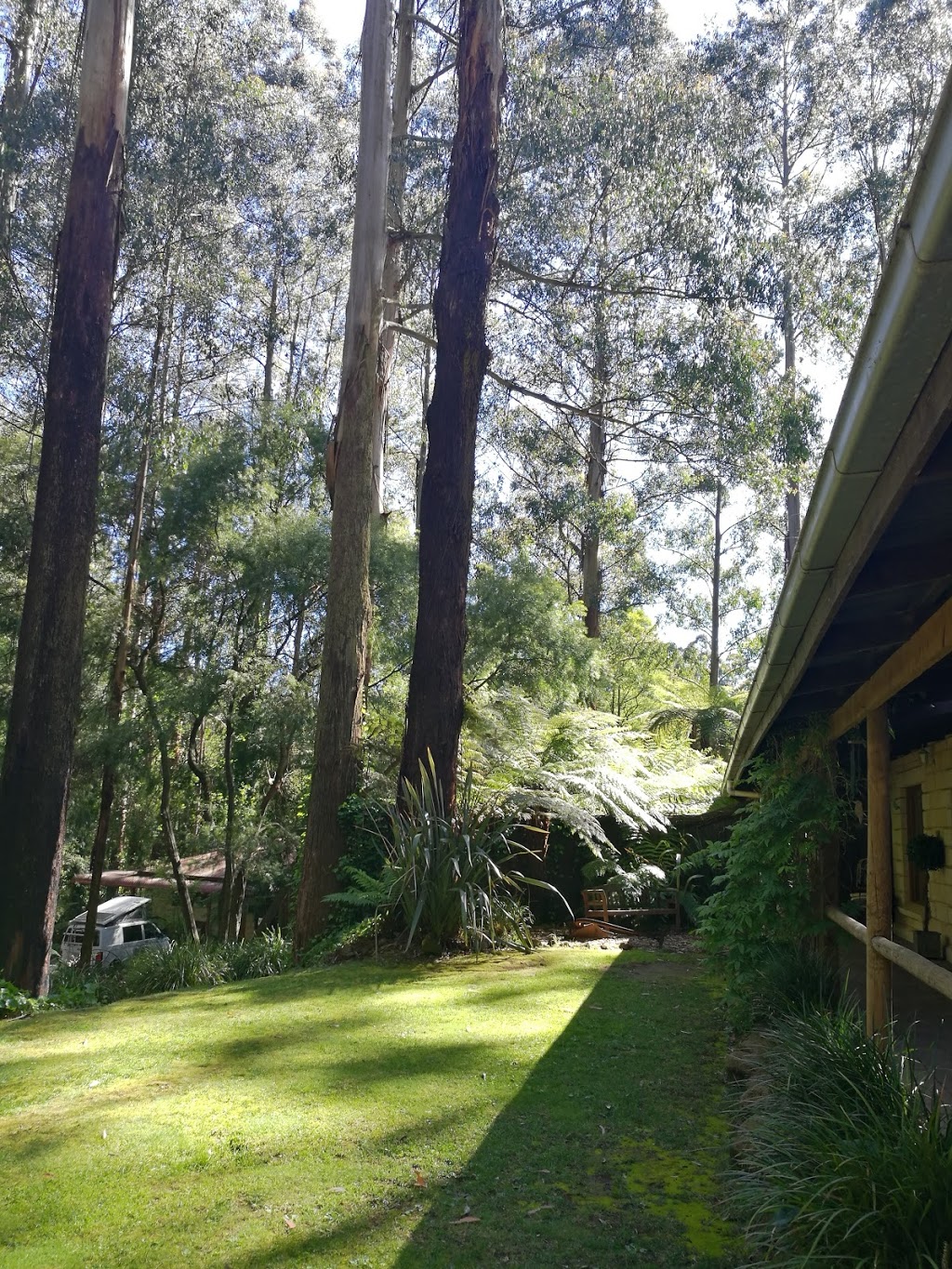 Fernglen Forest Retreat of Mount Dandenong (Self Contained Bed A | spa | 10 Fernglen Ave, Mount Dandenong VIC 3767, Australia | 0397511925 OR +61 3 9751 1925