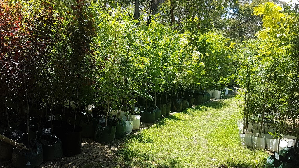 Raywood Nursery | Tapanappa Rd, Deep Creek SA 5204, Australia | Phone: (08) 8598 0267