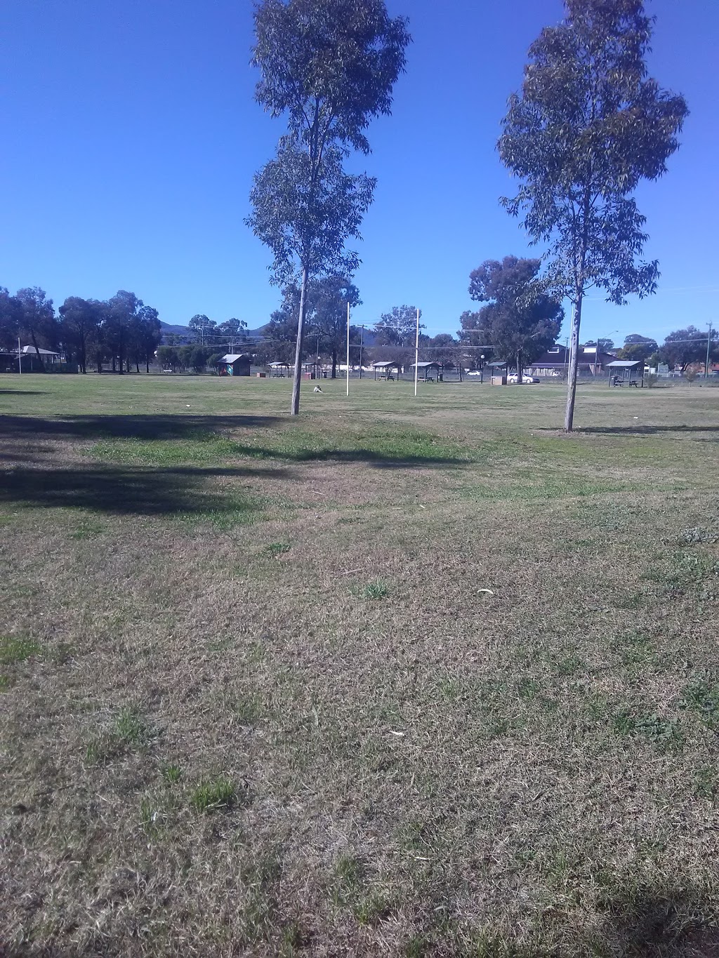 Granny Munro Park | park | West Tamworth NSW 2340, Australia