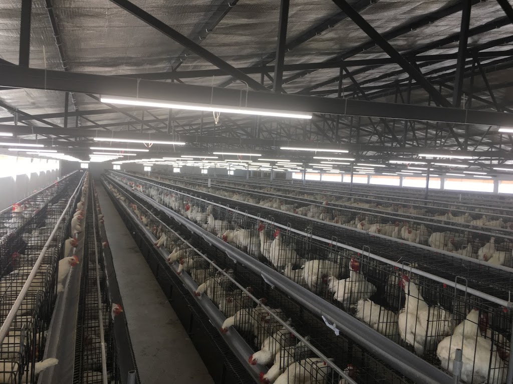 Wagners Poultry Farm | food | 31 Killara Rd, Coldstream VIC 3770, Australia | 0397391460 OR +61 3 9739 1460