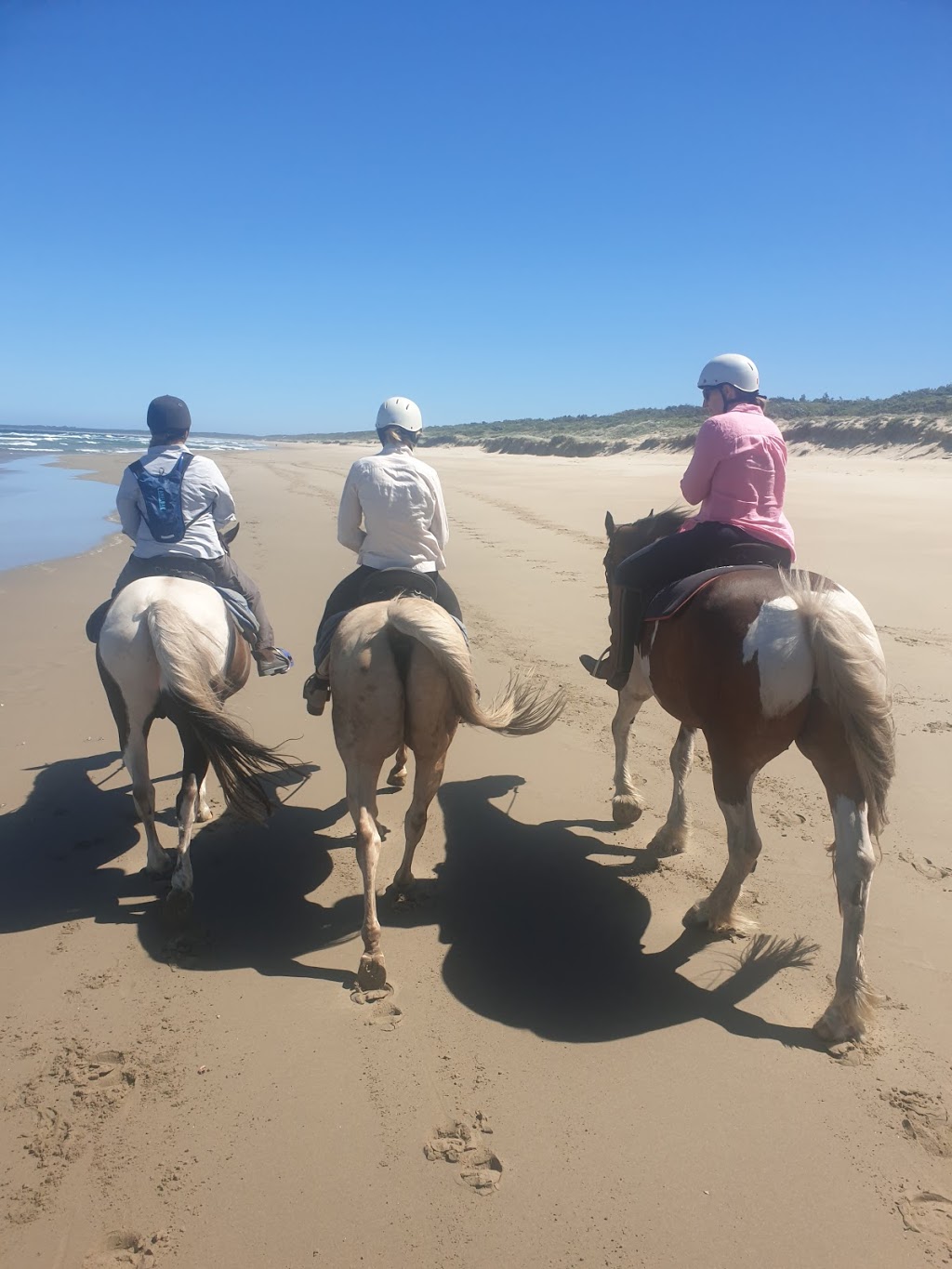 Regal Riding School | 1534 Bolong Rd, Coolangatta NSW 2535, Australia | Phone: 0417 317 325