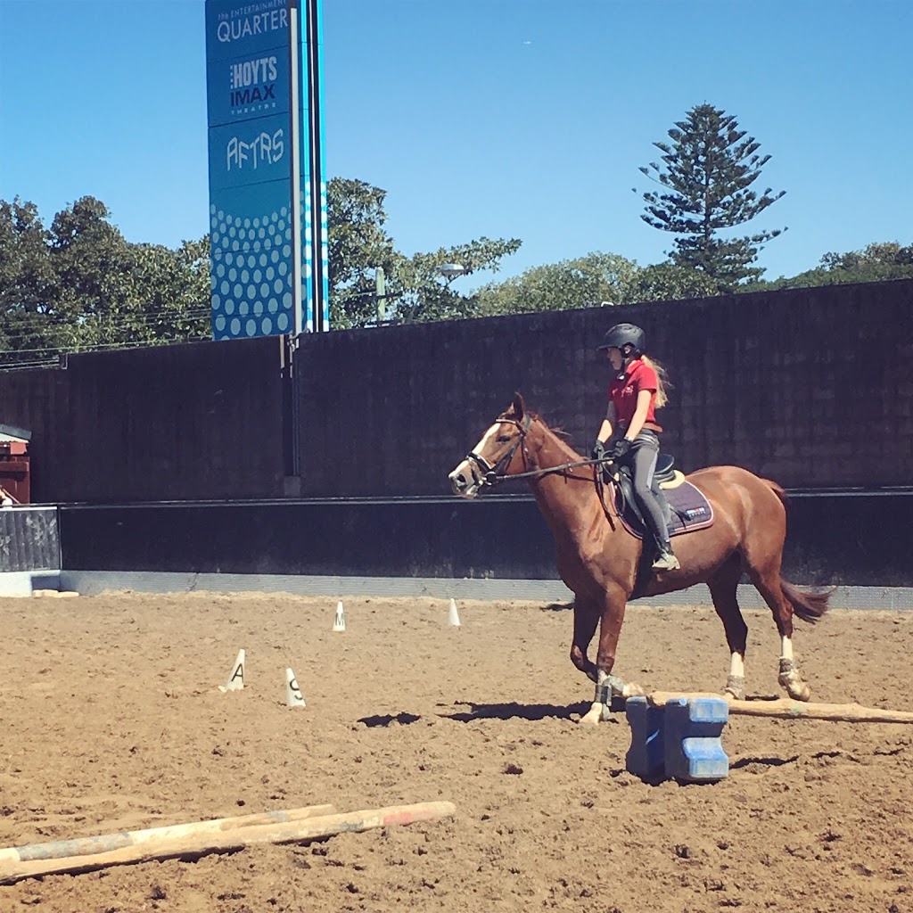 Centennial Parklands Equestrian Centre | 114-120 Lang Rd, Moore Park NSW 2021, Australia | Phone: (02) 9332 2809