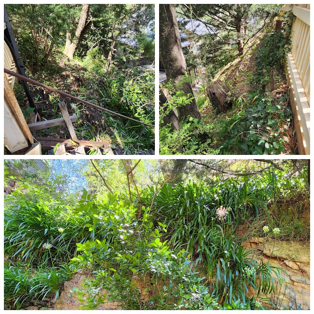 Girl power property services | Victoria St, Moe VIC 3825, Australia | Phone: 0435 033 721