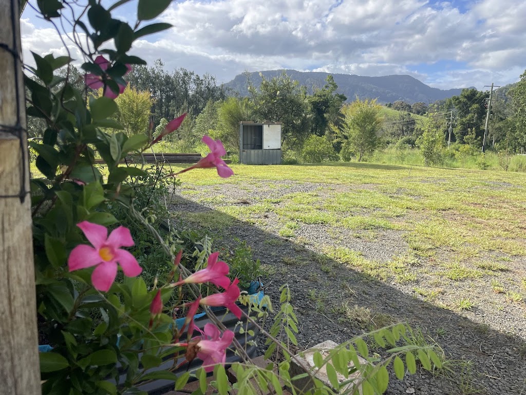 Liz Wilson Art Studio Nimbin | 2 Evelyn Wy, Nimbin NSW 2480, Australia | Phone: 0426 082 638