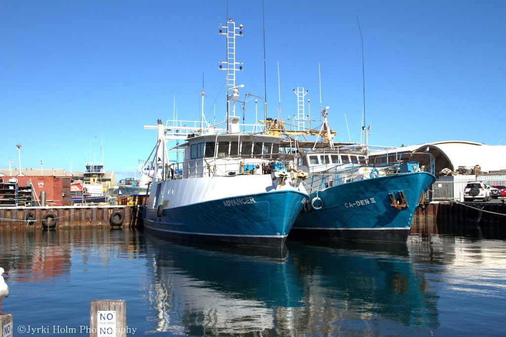 Kailis Marine | 50 Mews Rd, Fremantle WA 6160, Australia | Phone: (08) 9239 9251