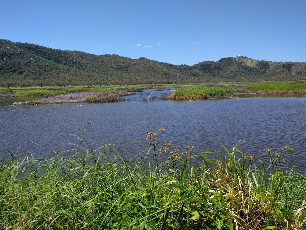 Jacana bird hide | Town Common QLD 4810, Australia