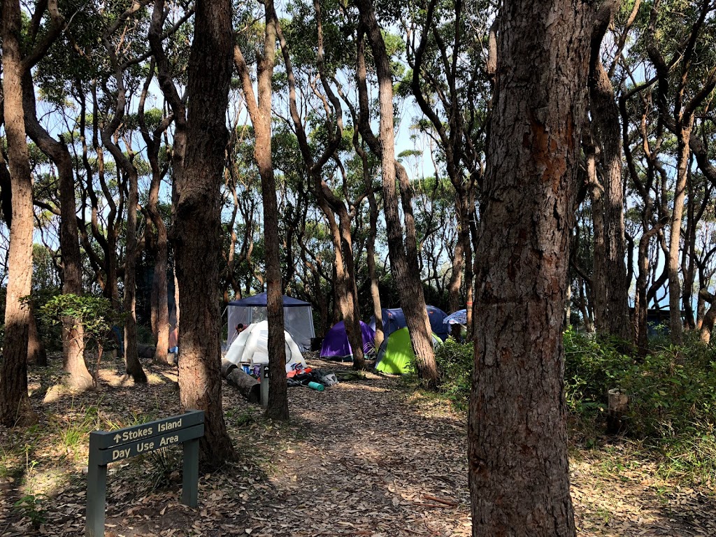 Sunburnt Beach campground | campground | Sunburnt Walking Track, Termeil NSW 2539, Australia | 0244549500 OR +61 2 4454 9500
