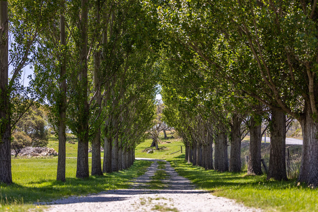 Wombat Creek | 834 Alpine Way, Crackenback NSW 2627, Australia | Phone: 0404 870 874