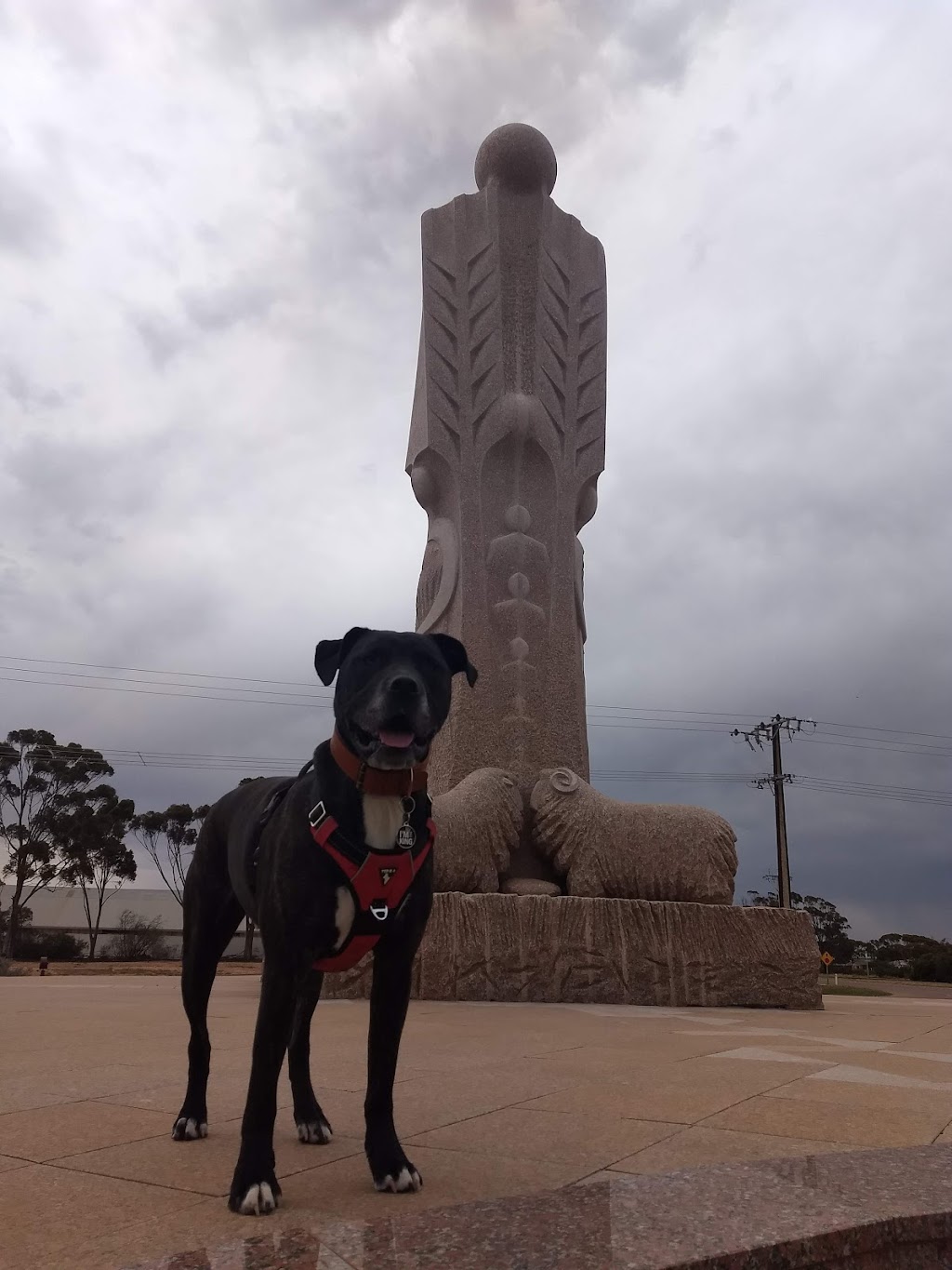 Australian Farmer Granite Sculpture | 44 Eyre Hwy, Wudinna SA 5652, Australia | Phone: (08) 8680 2969