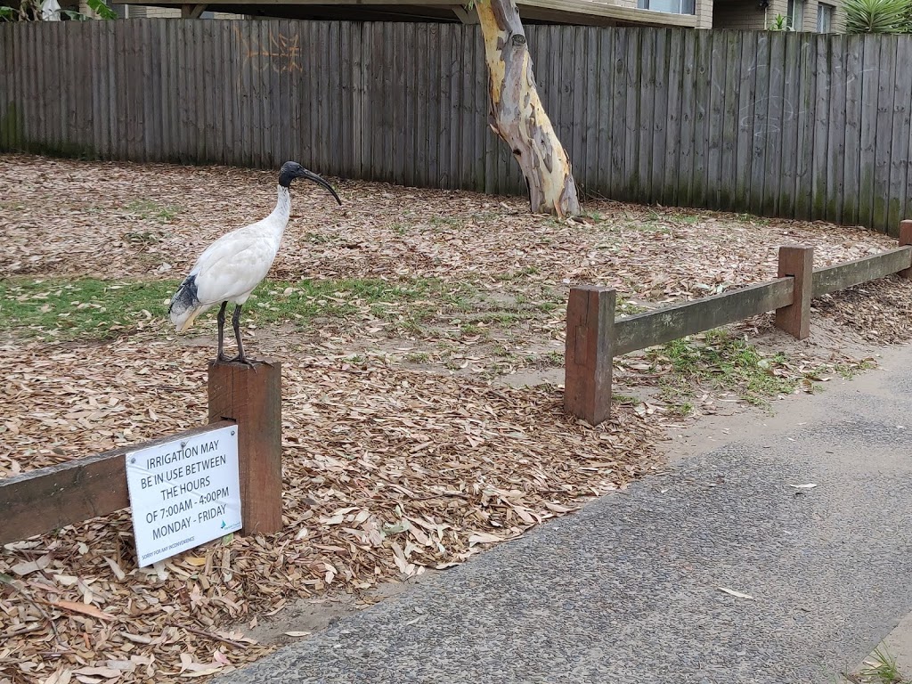 Bridget Tight Reserve | park | Evans Ave, Eastlakes NSW 2018, Australia | 0293663666 OR +61 2 9366 3666