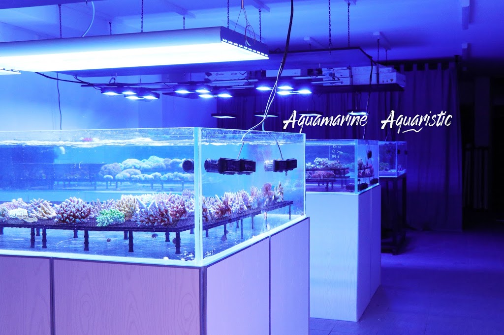 Aquamarine Aquaristic | aquarium | 38 Ayr St, Doncaster VIC 3108, Australia