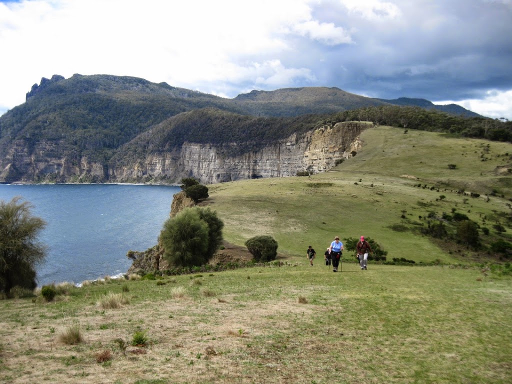 The Maria Island Guided Walk | Darlington, Maria Island TAS 7000, Australia | Phone: 0400 882 742