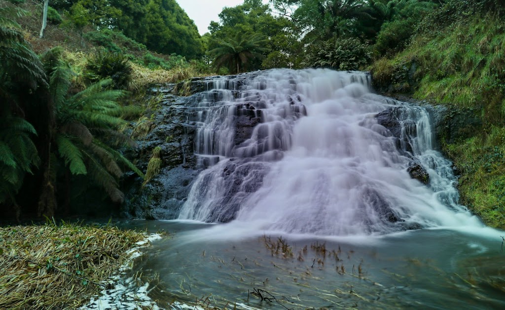 Preston Falls | tourist attraction | Raymond Rd, Preston TAS 7315, Australia | 0364298900 OR +61 3 6429 8900