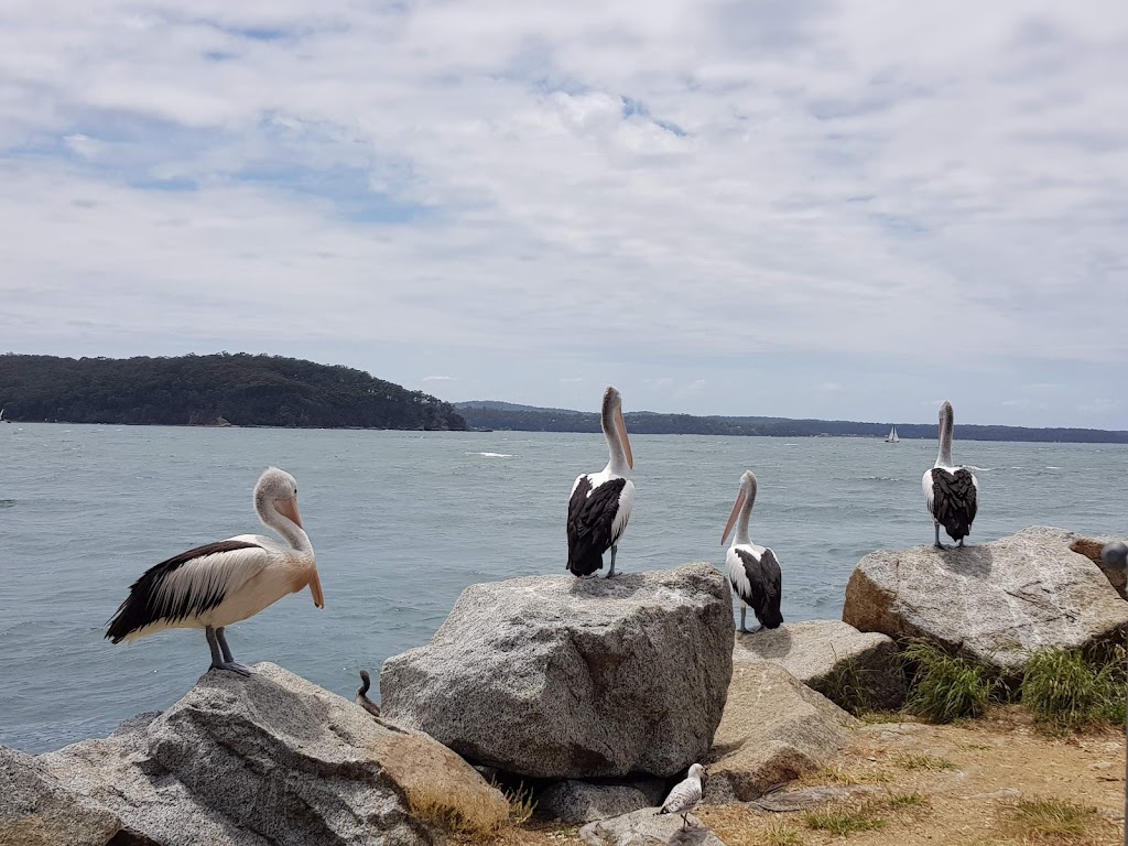 Hanging Rock Boat Ramp | Hanging Rock Pl, Batemans Bay NSW 2536, Australia | Phone: (02) 4474 1000