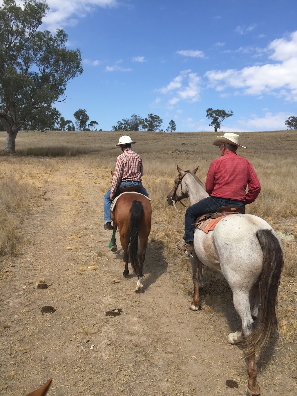 Challenge Disability Services | LOT 352 Stuart St, Quirindi NSW 2343, Australia | Phone: (02) 6746 2111