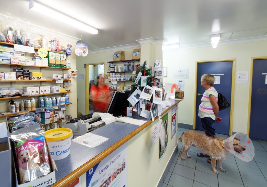 Lismore Central Veterinary Hospital | 82 Conway St, Lismore NSW 2480, Australia | Phone: (02) 6622 0044