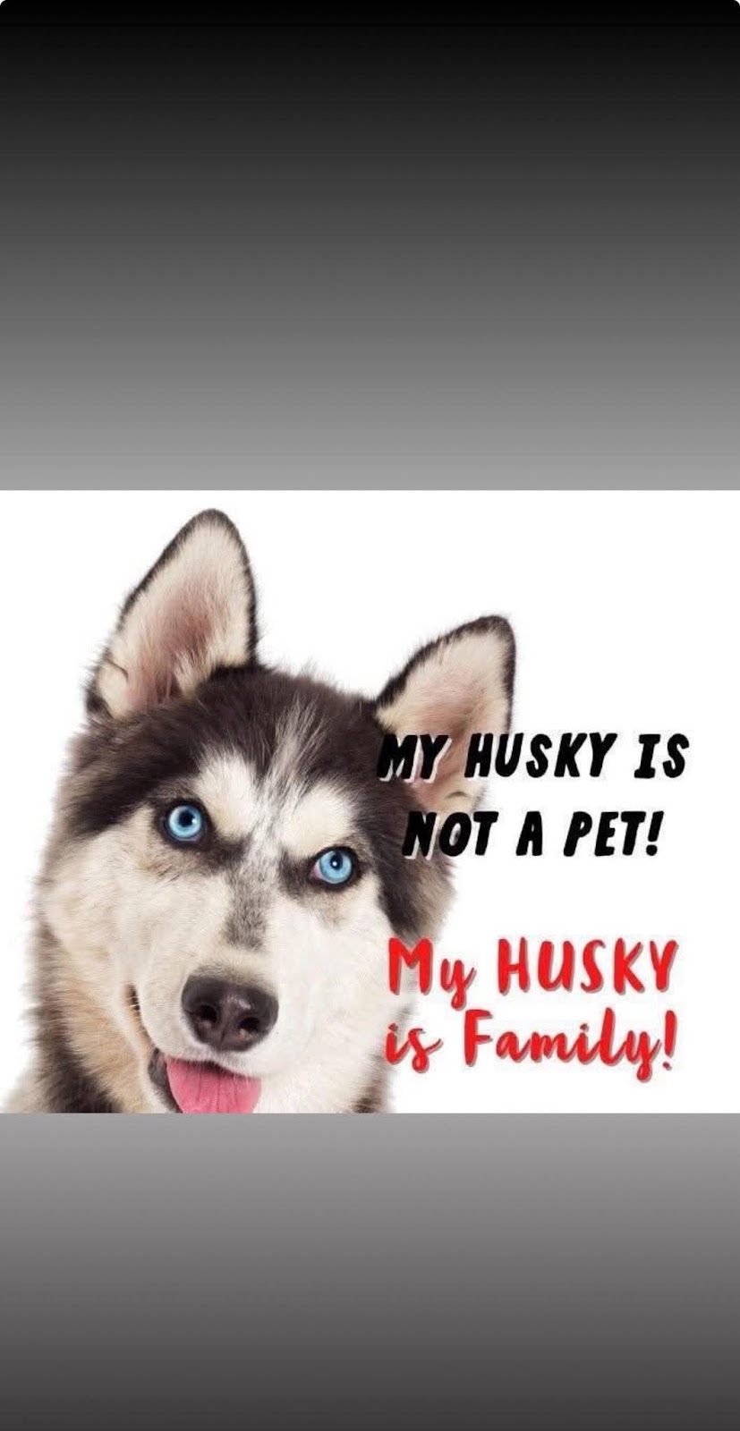 Husky Heaven Tabulam NSW | Bruxner Hwy, Tabulam NSW 2469, Australia | Phone: 0415 169 965