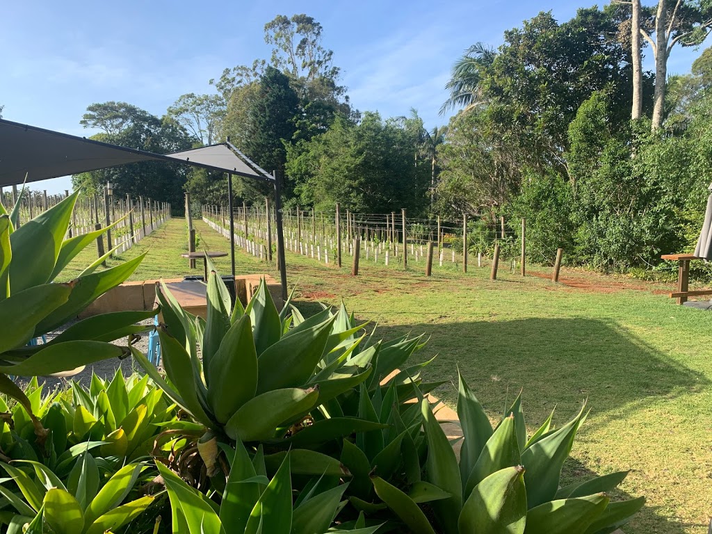 Witches Falls Winery | tourist attraction | 79 Main Western Rd, Tamborine Mountain QLD 4272, Australia | 0755452609 OR +61 7 5545 2609