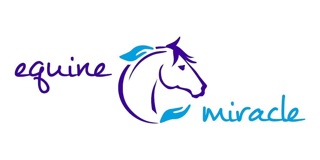 Equine Miracle | 15 Sutherland Dr, North Nowra NSW 2541, Australia | Phone: 0431 387 787