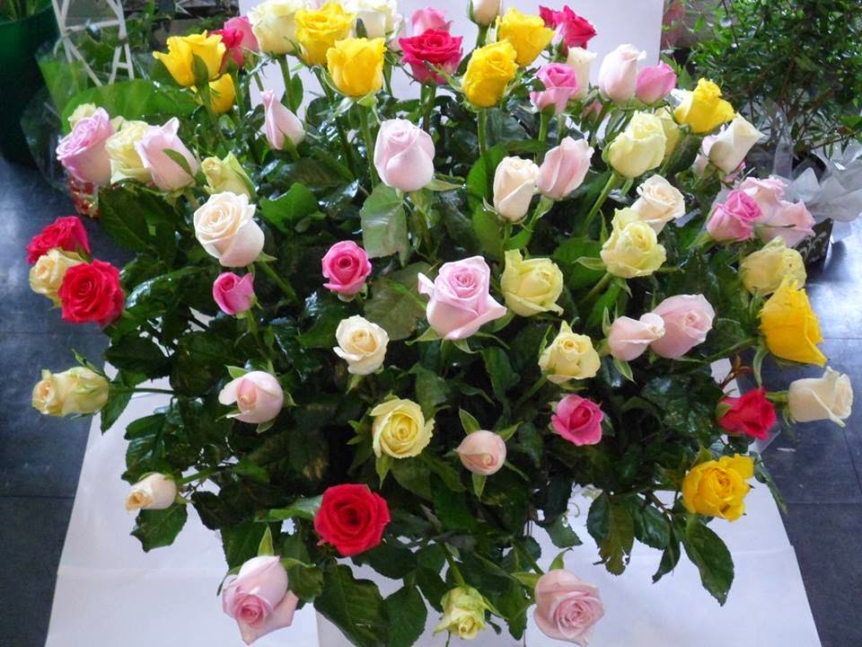 Mont Albert Florist | florist | 1 Hamilton St, Mont Albert VIC 3127, Australia | 0398901122 OR +61 3 9890 1122