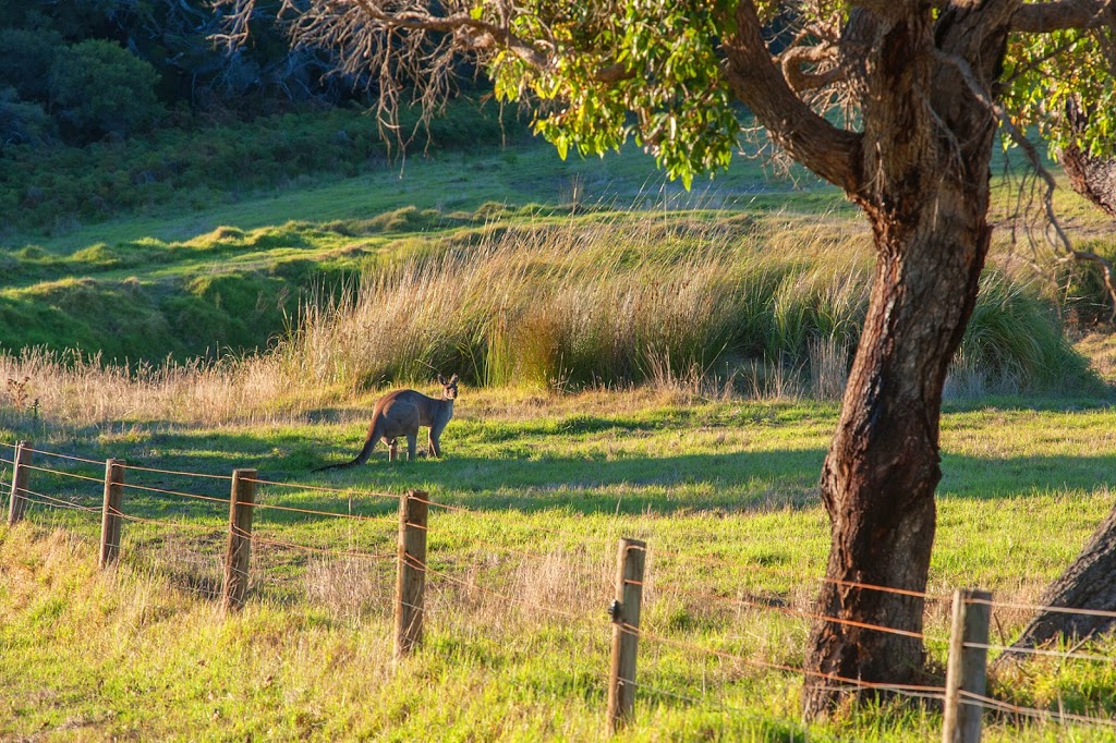 Pearl River Houses | lodging | 32 St Alouarn Pl, Margaret River WA 6285, Australia | 0407947944 OR +61 407 947 944