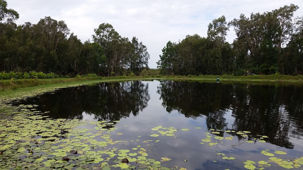 Carbrook Wetlands Conservation Park | park | Carbrook QLD 4130, Australia