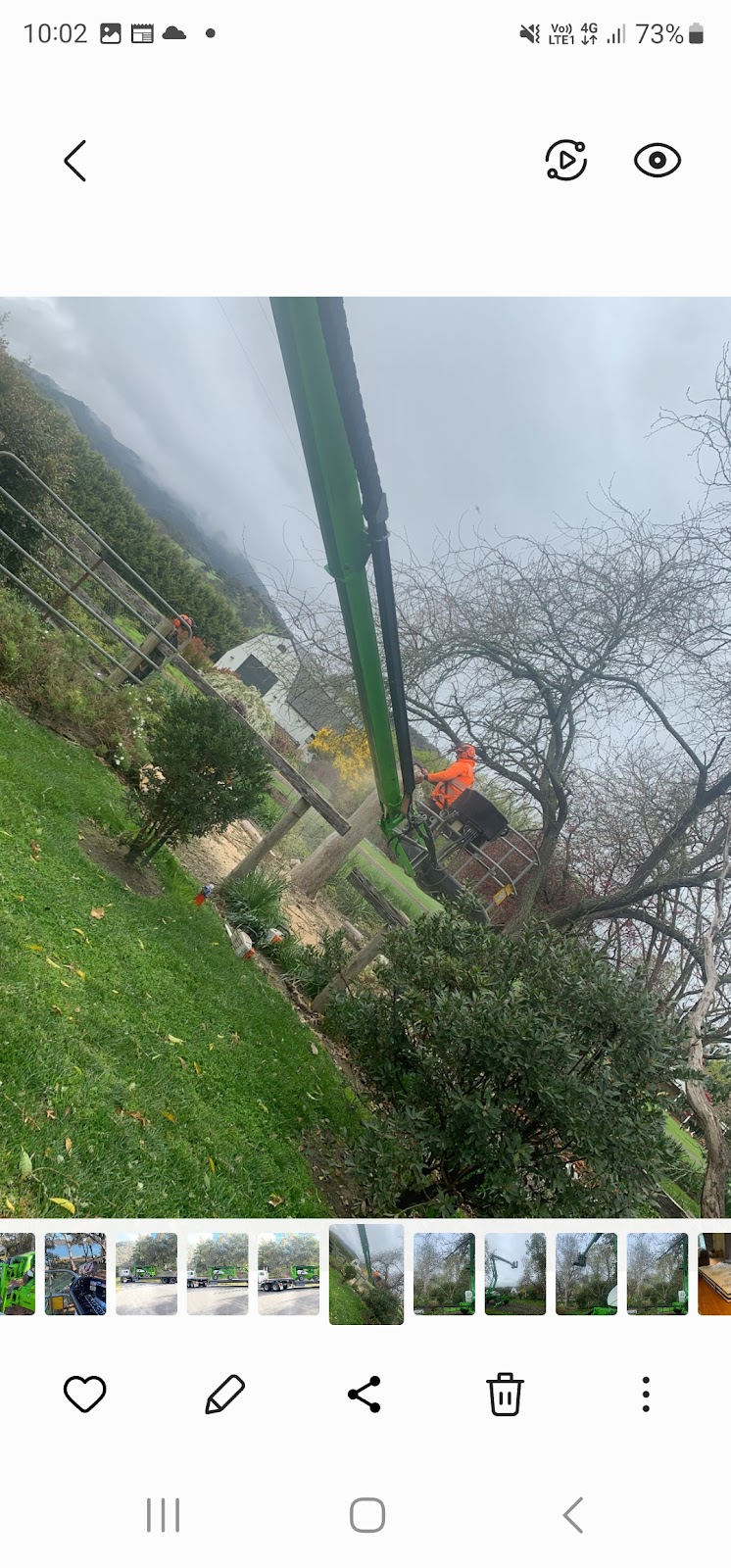 Global Tree Solutions Pty Ltd | 4608 Maroondah Hwy, Whanregarwen VIC 3714, Australia | Phone: 0439 721 943