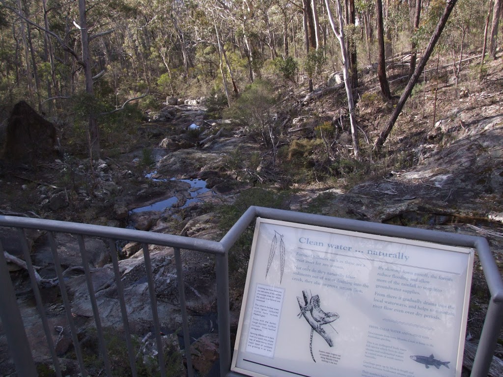 Myanba Gorge Picnic Area & Walking Track | tourist attraction | Myanba Gorge Walking Track, Coolangubra NSW 2550, Australia | 0264585900 OR +61 2 6458 5900